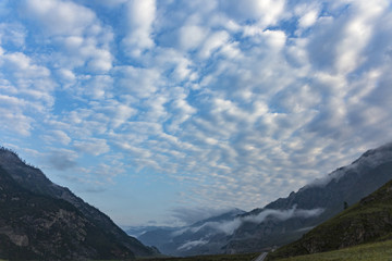 Obraz premium morning fog in the Altai mountains
