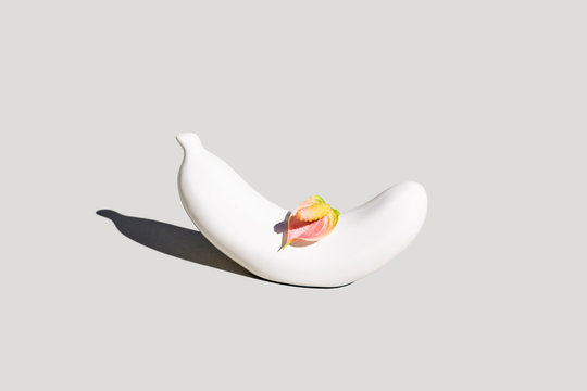 Sexual Intimacy Concept - Phallic Banana and Flower
