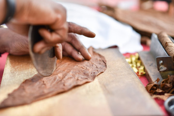 Herstellung Zigarre mit Tabakpflanze
