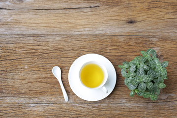 Lemon in white cup and spoon with green Fittonia albivenis plant on wooden table