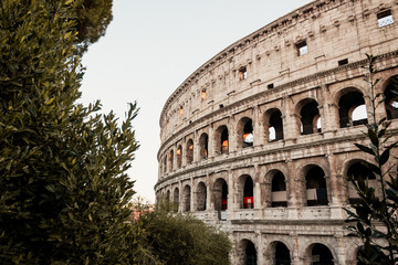 Fototapeta na wymiar The Coloseum in Rome with beautiful dusk colours