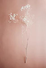 Wall murals For her Tropical dry leaves on pink background. Closeup view