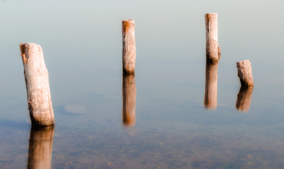 wooden columns in a calm surface of the water
