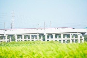 Fototapeta premium 田園