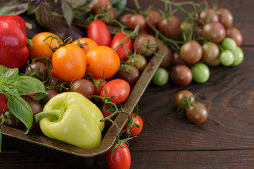 Micro farming harvest on the wooden table. Tomato, black cgerry, sweet pepper, eggplant. Top view.
