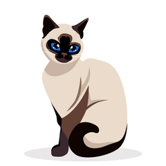 Siamese cat. Cute siam Kitty sitting isolated on white. kawaii vector illustration