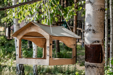 Old yellow bird and squirrel feeder house from plywood is hanging on a white rope on a Birch tree in a park in summer