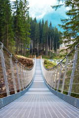 Fototapeta premium Suspension bridge in the forest