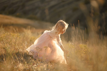 Portrait of a beautiful little princess girl in a pink dress. Posing in a field at sunset