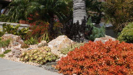 Drought-tolerant residential landscaping