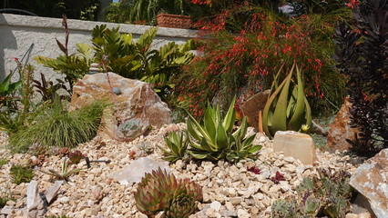 Well done Xeriscape