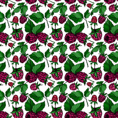 Vector Raspberry healthy food isolated. Black and white engraved ink art. Seamless background pattern.