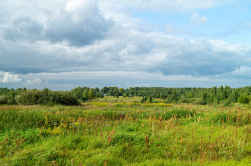 Fototapeta na wymiar Year landscape on background sky