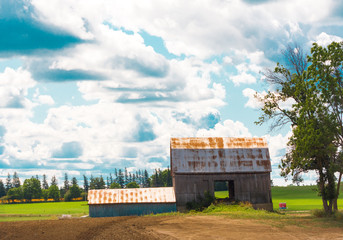 Old abandoned shed in the field