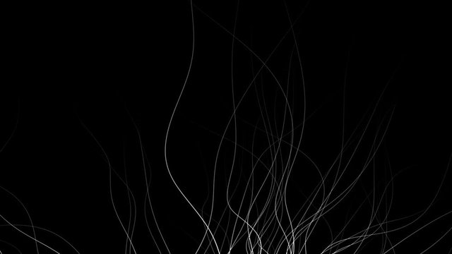 underwater plant background in graphic style - white on black (FULL HD)