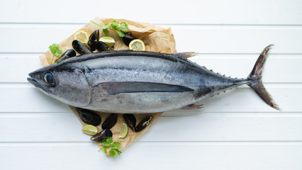 Fresh fish. Whole tuna on white boards background.