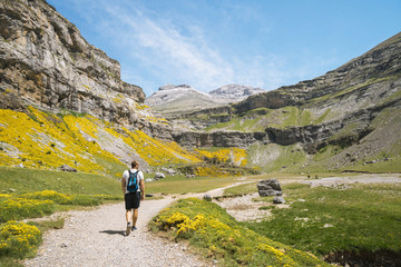 Hiker walking on a trail path in a valley with cliffs and mountains on sides in the Pyrenees