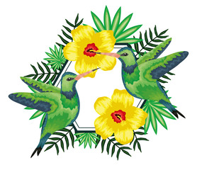 beautiful hummingbirds with tropical floral decoration