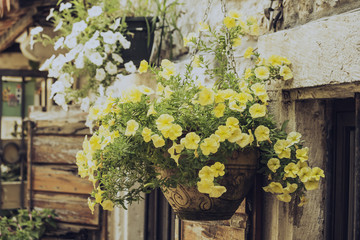 flowerpots decorate old wooden houses in Macedonia
