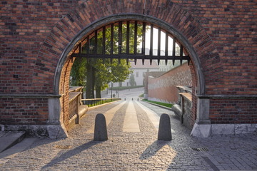 The entrance to the gate of the old castle. The road from pavement, fences from unwanted intrusion - fence and gates at dawn, soft light on an empty road in the hill.