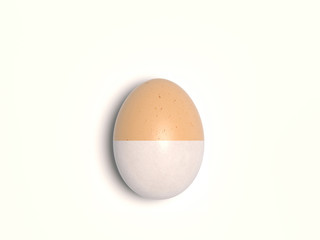 Single chicken egg isolated on a white background. An egg divided in the middle into two parts with different colors of a natural color. Creative conceptual illustration with copy space. 3D rendering.
