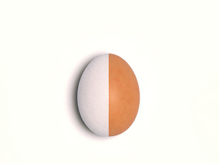 Single chicken egg isolated on a white background. An egg divided in the middle into two parts with different colors of a natural color. Creative conceptual illustration with copy space. 3D rendering.