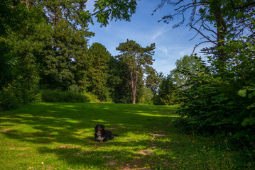 Tervuren