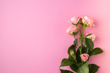 Pink rose flowers on pastel pink background.