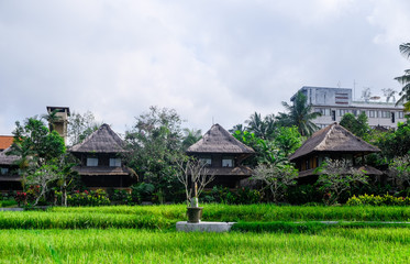 Fototapeta na wymiar Buildings in the jungle in Bali, traditional Indonesian style