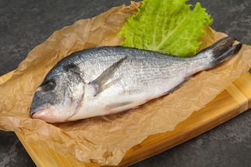 Raw Dorada fish  for cooking