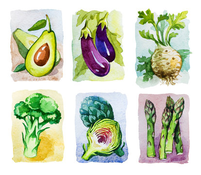 Six kinds of watercolor vegetables isolated on white, avocado, eggplant, celery root, broccoli, artichoke, asparagus