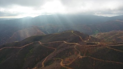 Aerial. Portuguese forest Monchique, after the fires view from the sky.