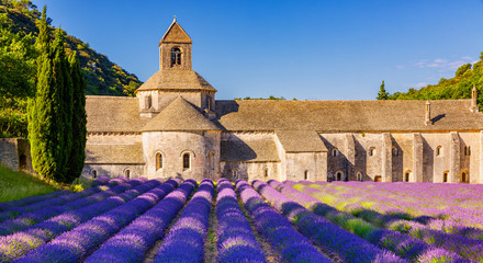 The Romanesque Cistercian Abbey of Notre Dame of Senanque set amongst flowering lavender fields, near Gordes, Provence, France - obrazy, fototapety, plakaty