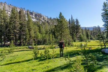Fototapeta na wymiar Backpacker on Trail in Forest in Mountains