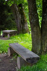 ethnic bench made of felled wood under the trees near the path