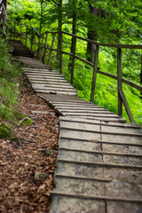 staircase wooden path with railing in the mountain green forest