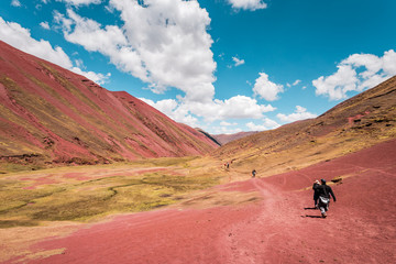 Fototapeta na wymiar Trekking through the Red Valley, Vinicunca Rainbow Mountain, Cusco, Peru
