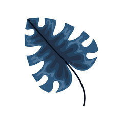 exotic and tropical leaf plant