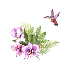 Composition with orchids, leaves and hummingbird. Watercolor illustration. - 286567072