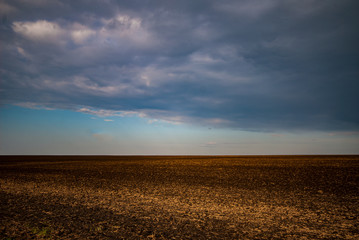 Plowed Agricultural Field at Sunset, Landscape.