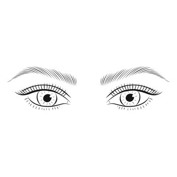 Woman's eyes and eyebrows.