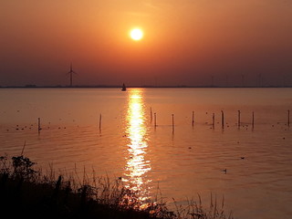 Sonnenuntergang am Ijsselmeer