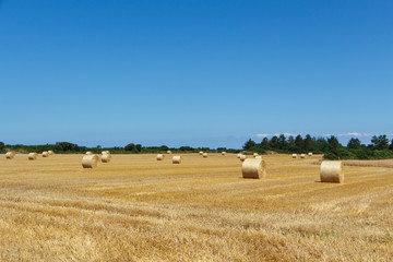 Straw bales in a field in Brittany during summer