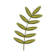 exotic and tropical leaf plant