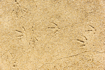 closeup of wet colorfull sand pattern of a beach