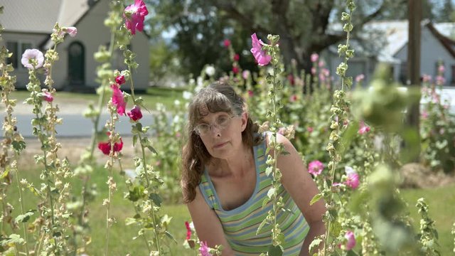 Hippie woman working in flowers looking up and smiling as she pulls seeds from hollyhock flowers.