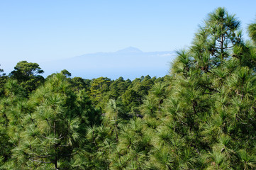 View form Gran Canaria on Teide