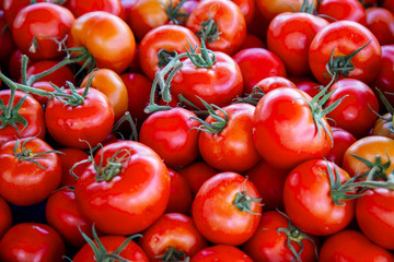 Tomaten - Bio - Tomatoes