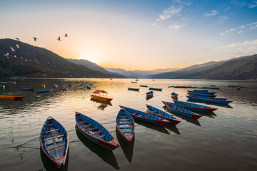 paddle boat in Phewa lake pokhara in the evening sunset - obrazy, fototapety, plakaty