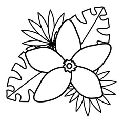 exotic and tropical flower garden with leafs decoration